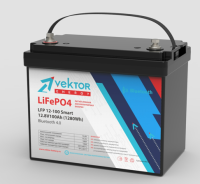 LFP 25,6-100 Smart BMS 100A  (Bluetooth 4.0)