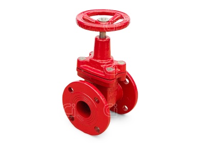 Задвижка Ci 30ч39р 50 с обрезиненным клином В Москве