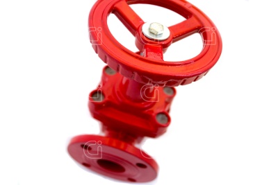 Задвижка Ci 30ч39р 50 с обрезиненным клином В Москве